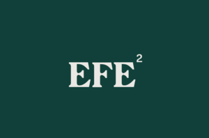 EFE - Educação Financeira Empreendedora