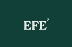 EFE - Educação Financeira Empreendedora