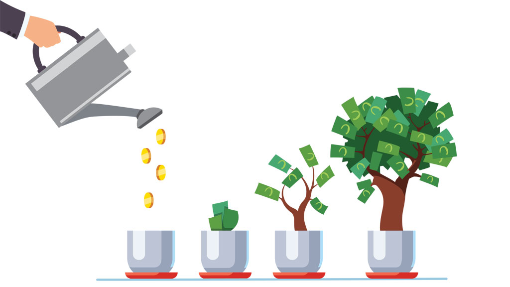 Educação financeira e meio ambiente caminham juntos